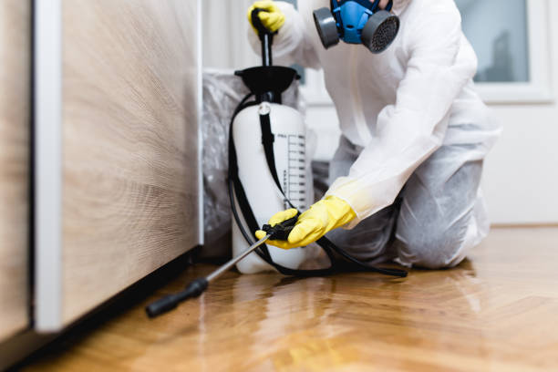 Best Pest Prevention Services  in Spencerport, NY