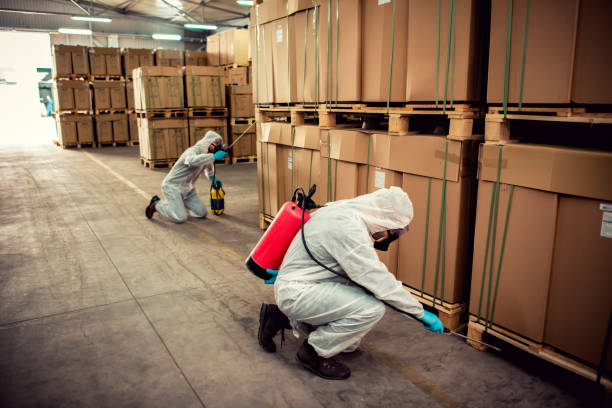 Best Local Pest Control Services  in Spencerport, NY