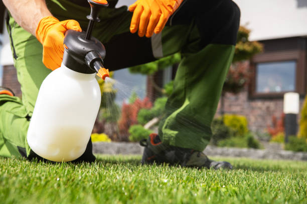 Pest Prevention Services in Spencerport, NY