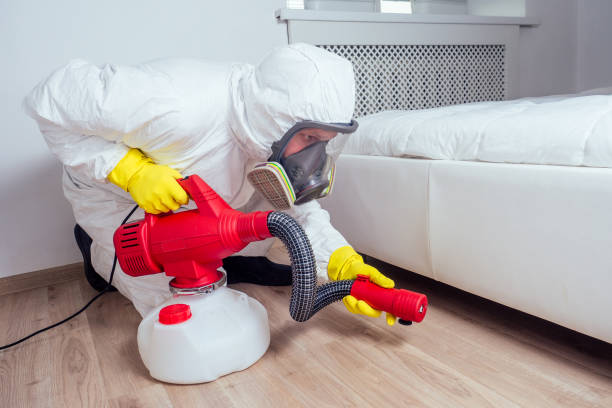 Best Flea Control Services  in Spencerport, NY