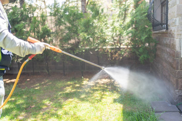Best Best Pest Control Companies  in Spencerport, NY
