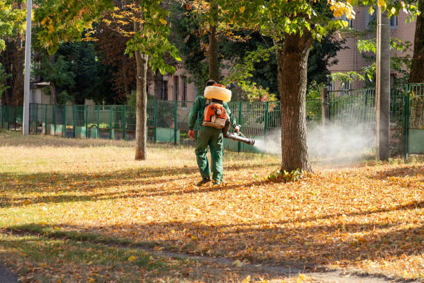 Best Rat Extermination Near Me  in Spencerport, NY