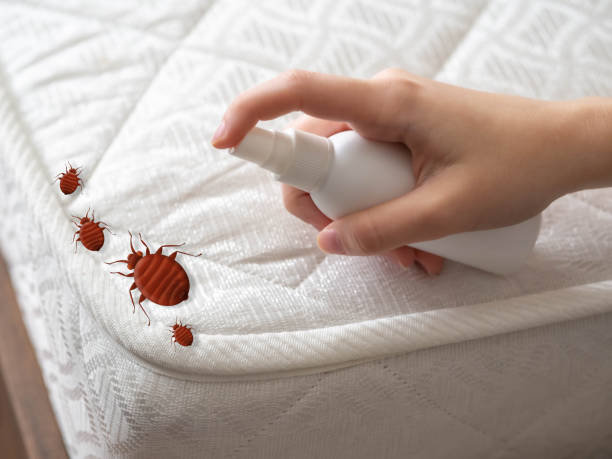 Best Pest Prevention Services  in Spencerport, NY